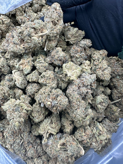 Ice Cream Cake THCA Flower (Budget)