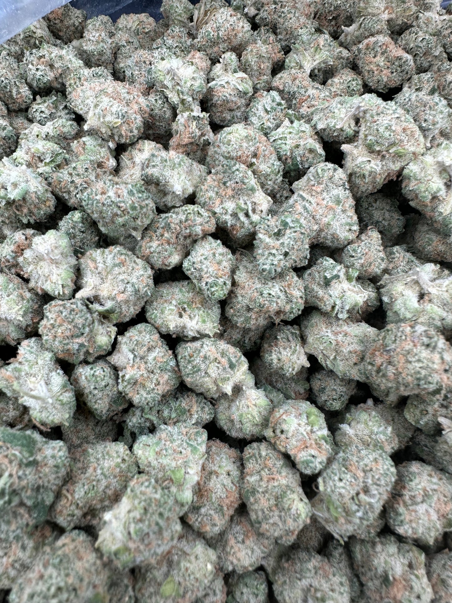 Sour Tangie THCA Flower (Budget)