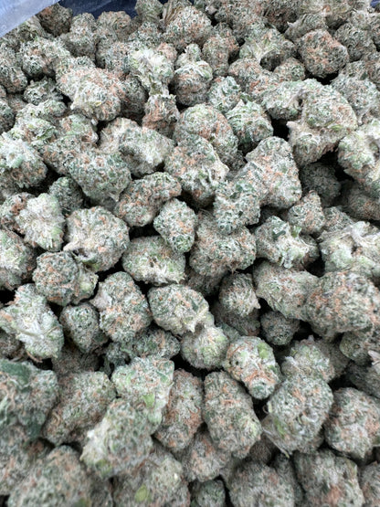 Sour Tangie THCA Flower (Budget)