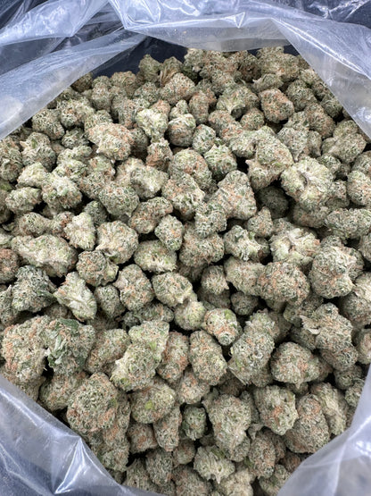 Sour Tangie THCA Flower (Budget)