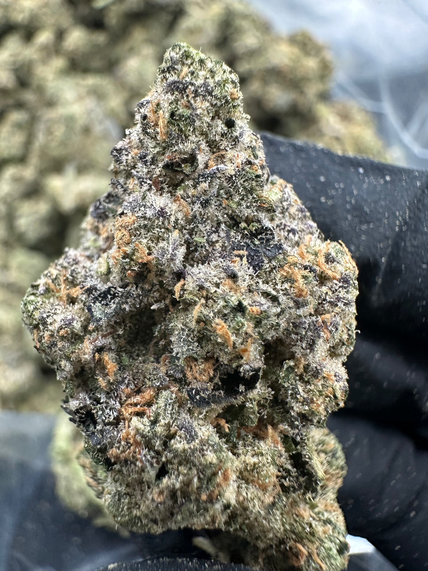 Zkittlez THCA Flower (Premium)