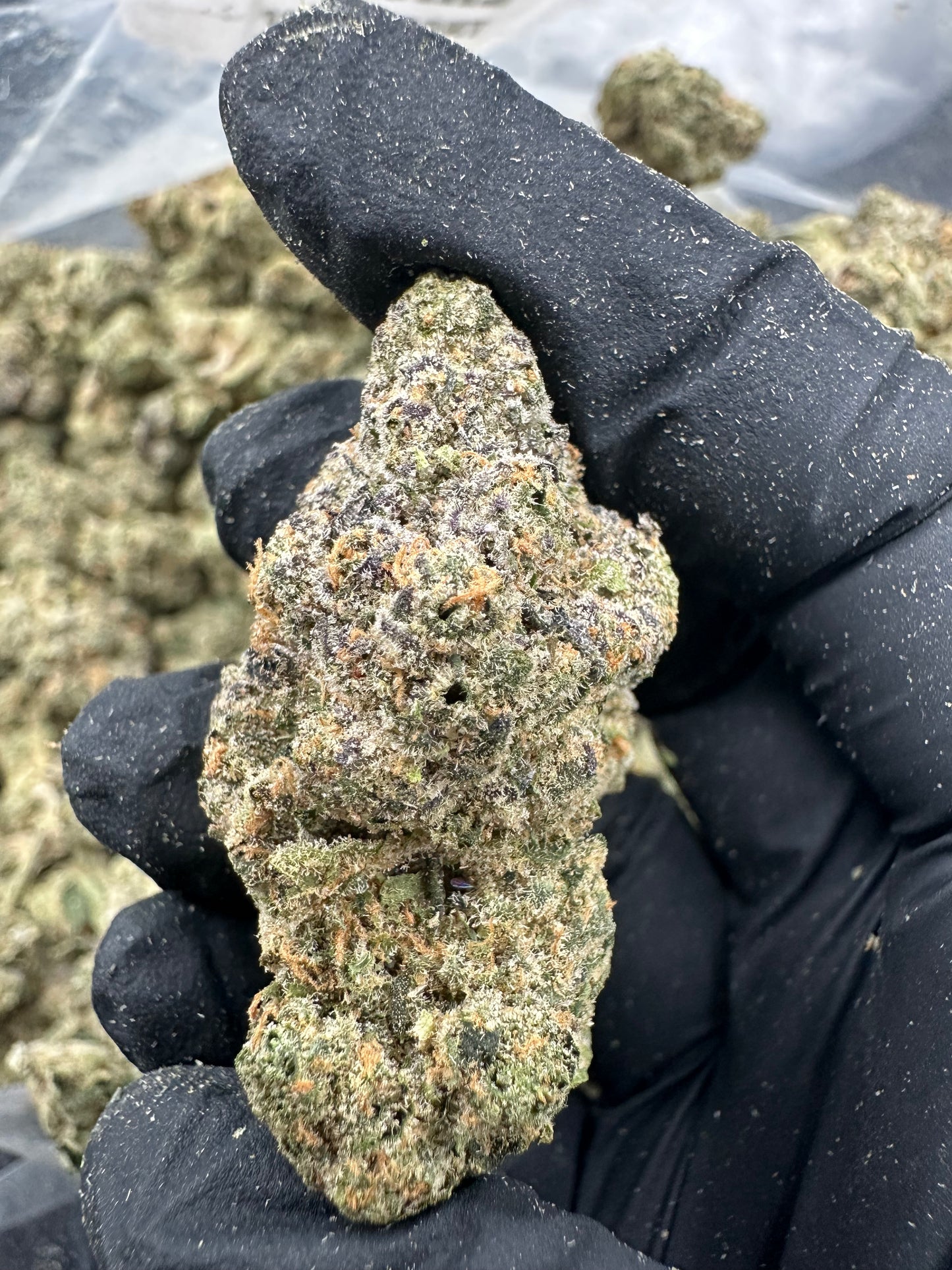 Zkittlez THCA Flower (Premium)