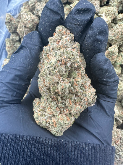 Mango Kush THCA Flower (Premium)