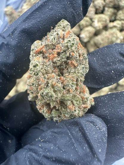 Mango Kush THCA Flower (Premium)