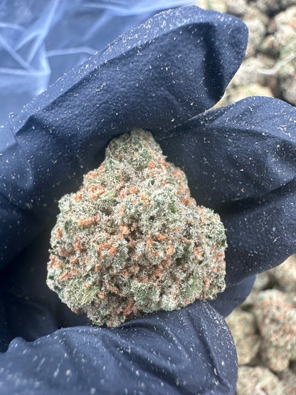 Mango Kush THCA Flower (Premium)