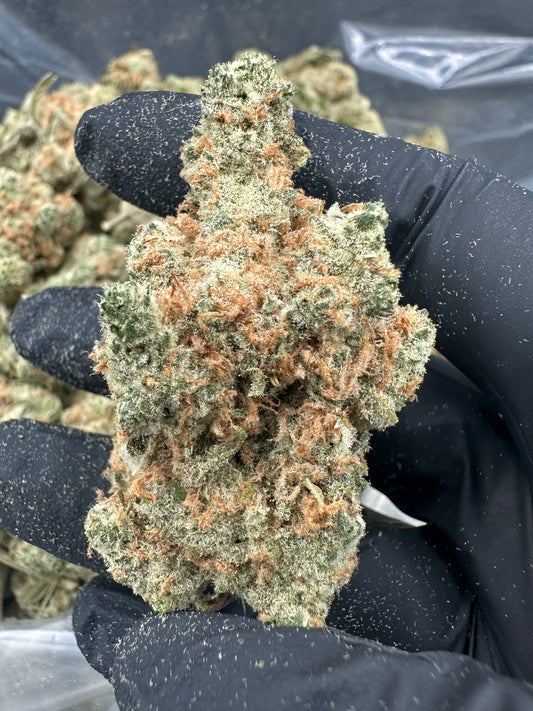Sour Tangie THCA Flower (Premium)
