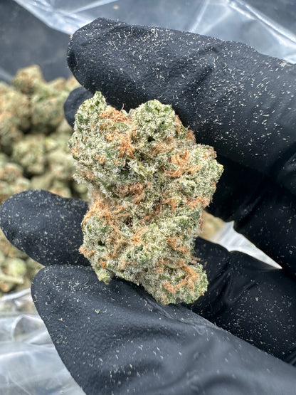 Sour Tangie THCA Flower (Premium)