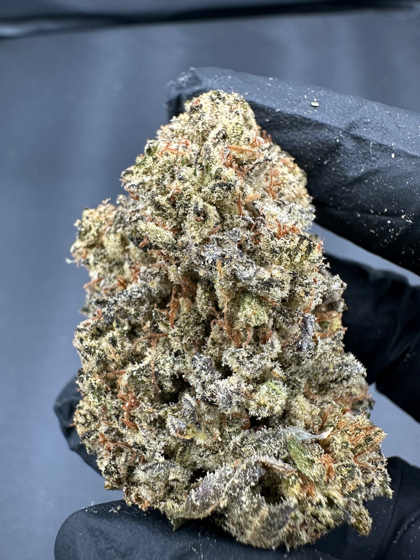 Pineapple Express THCA Flower (Exotic)