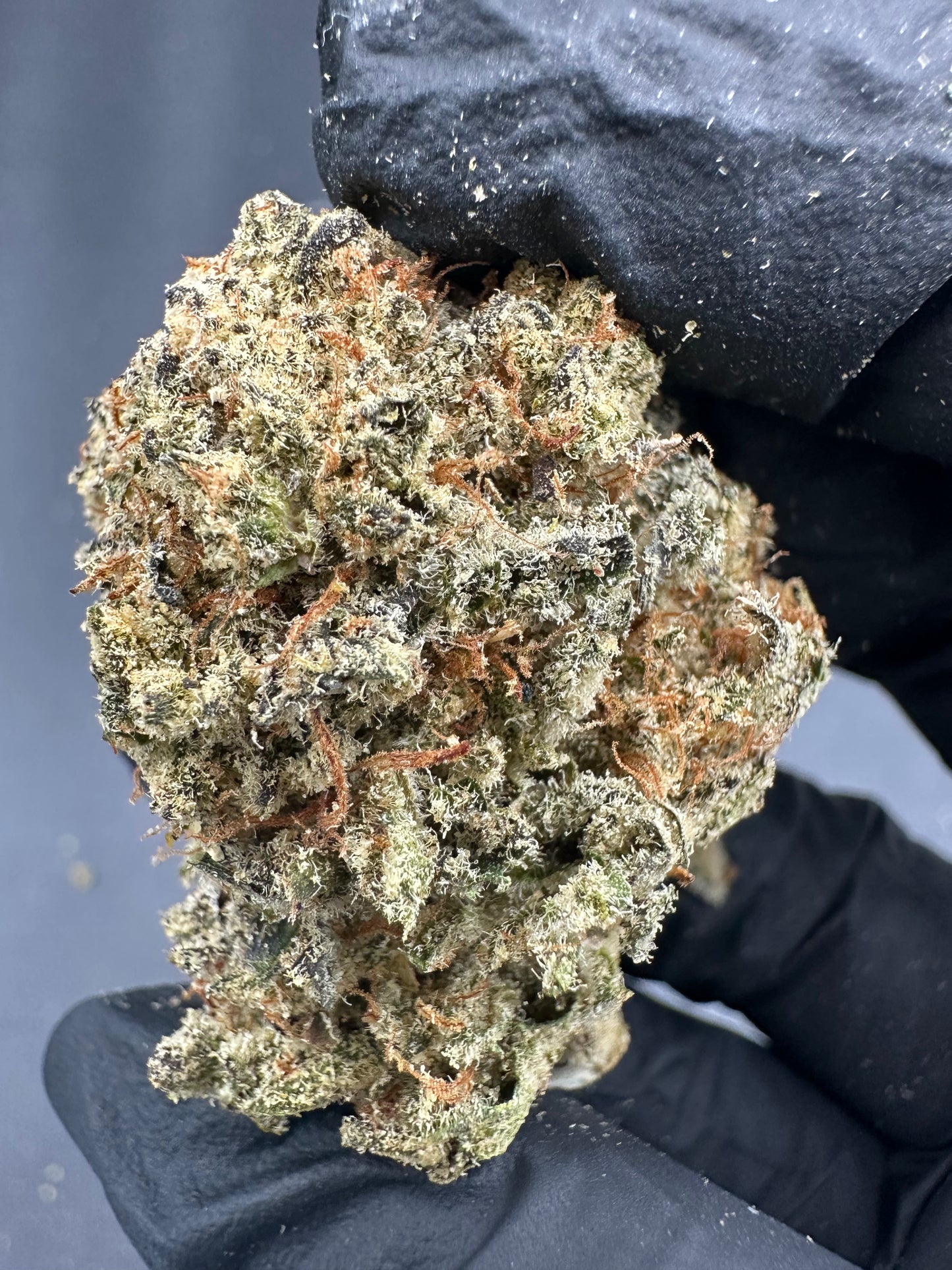 Pineapple Express THCA Flower (Exotic)