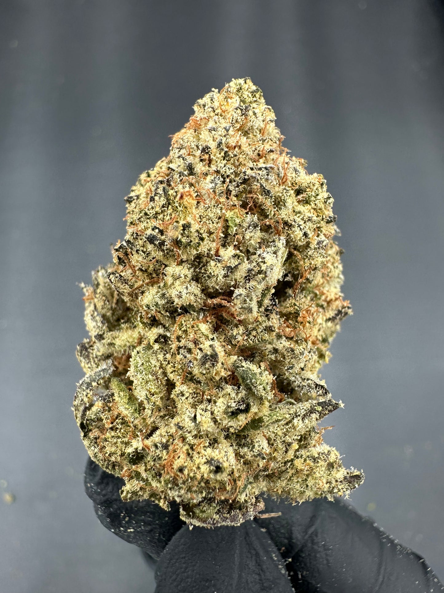 Pineapple Express THCA Flower (Exotic)