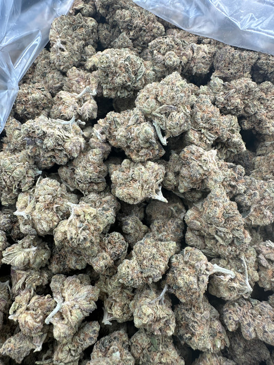 Gush Mintz THCA Flower (Budget)