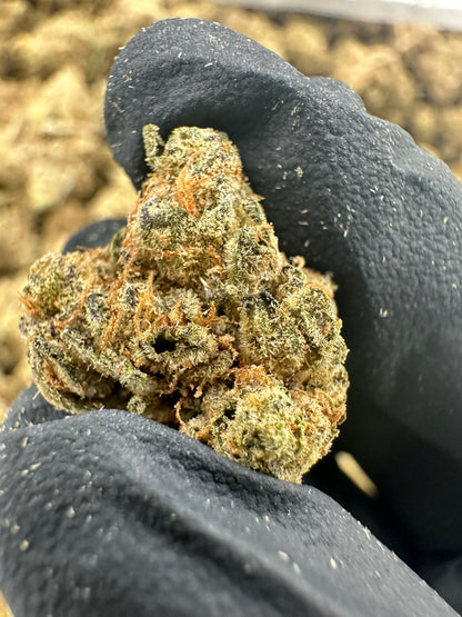 Gush Mintz THCA Flower (Budget)