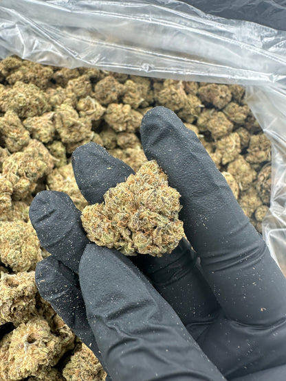 Gush Mintz THCA Flower (Budget)