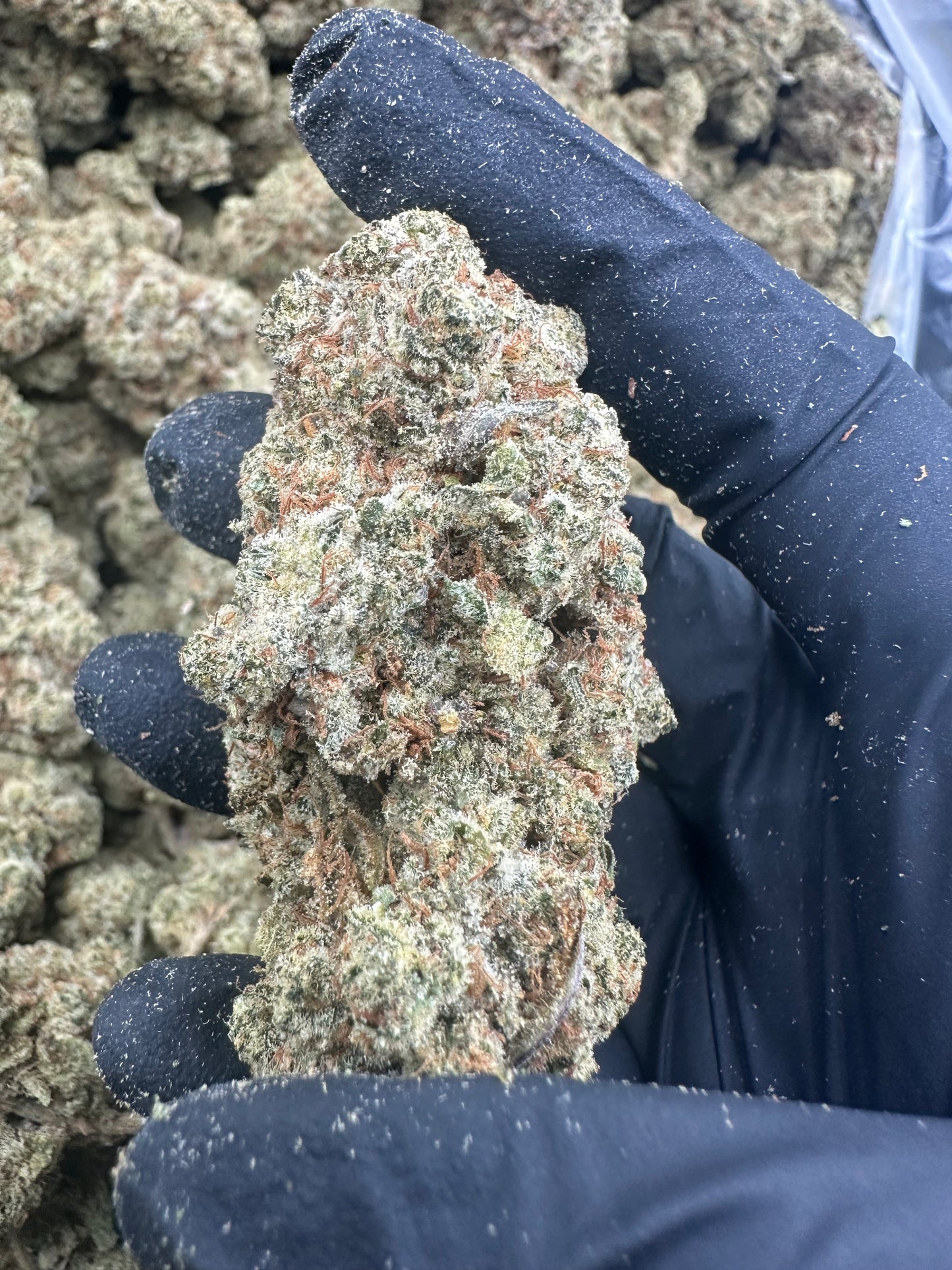 Durban Poison THCA Flower (Exotic)