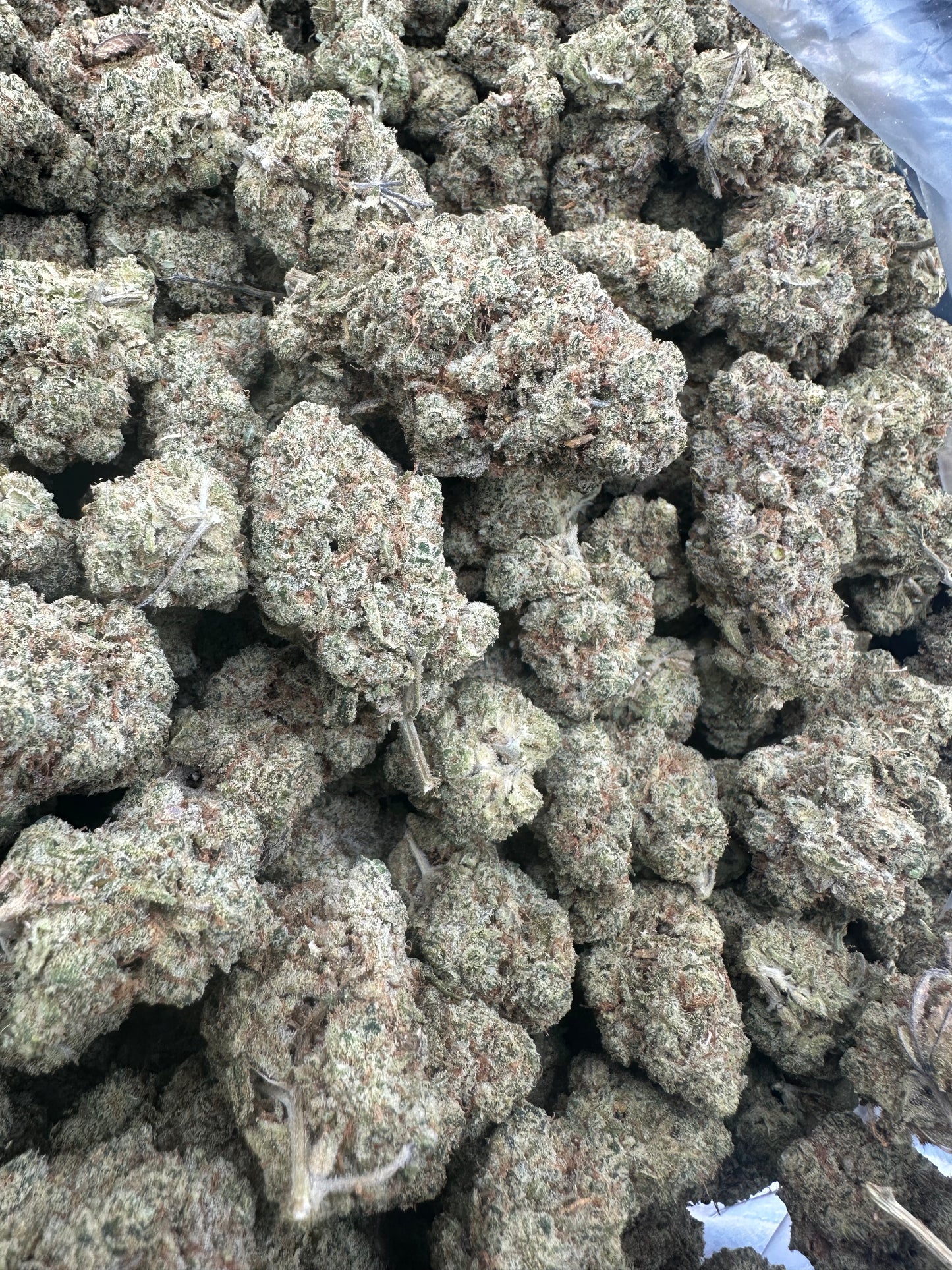 Durban Poison THCA Flower (Exotic)