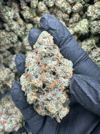 Headband THCA Flower (Exotic)