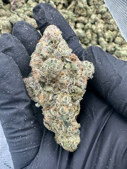 Cereal Milk THCA Flower (Premium)