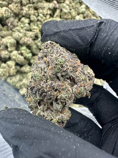Cereal Milk THCA Flower (Premium)