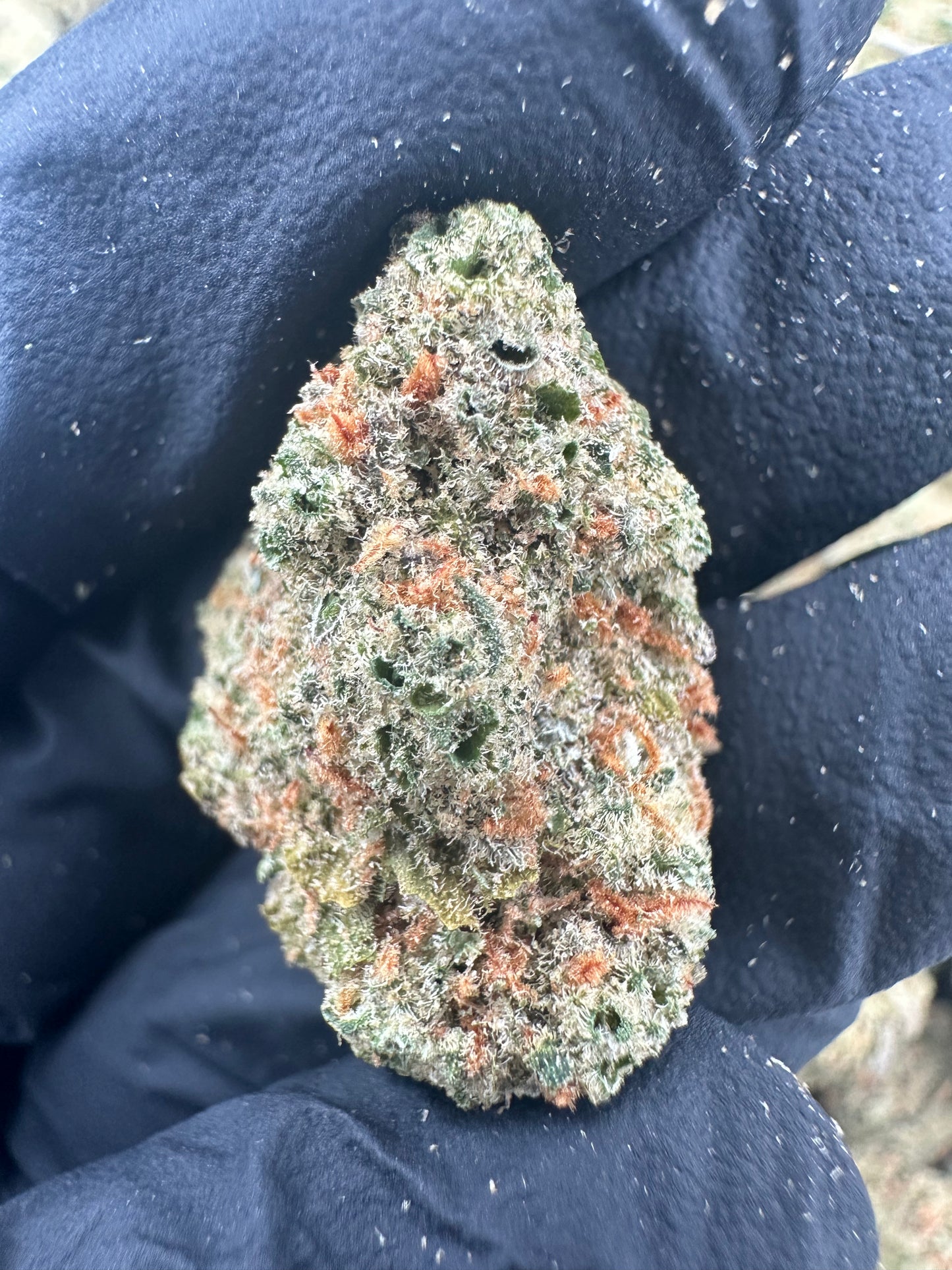 Green Crack THCA Flower (Premium)