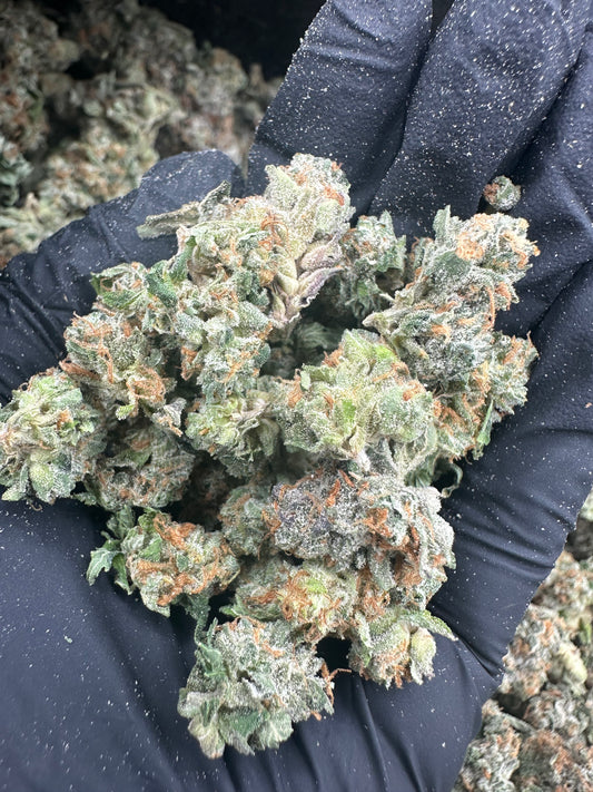 OG Kush THCA Flower (Budget)