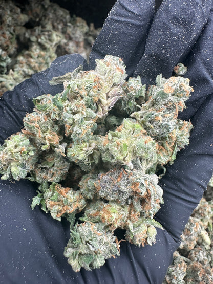 OG Kush THCA Flower (Budget)