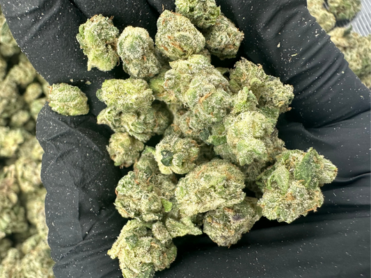 Cereal Milk THCA Flower (Budget)