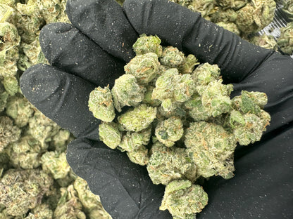 Cereal Milk THCA Flower (Budget)