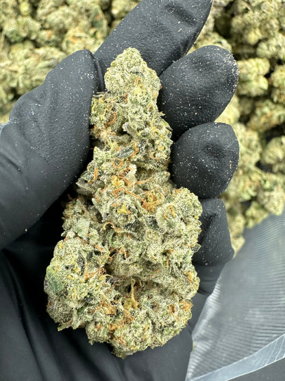 Triangle Kush Cake THCA Flower (Premium)