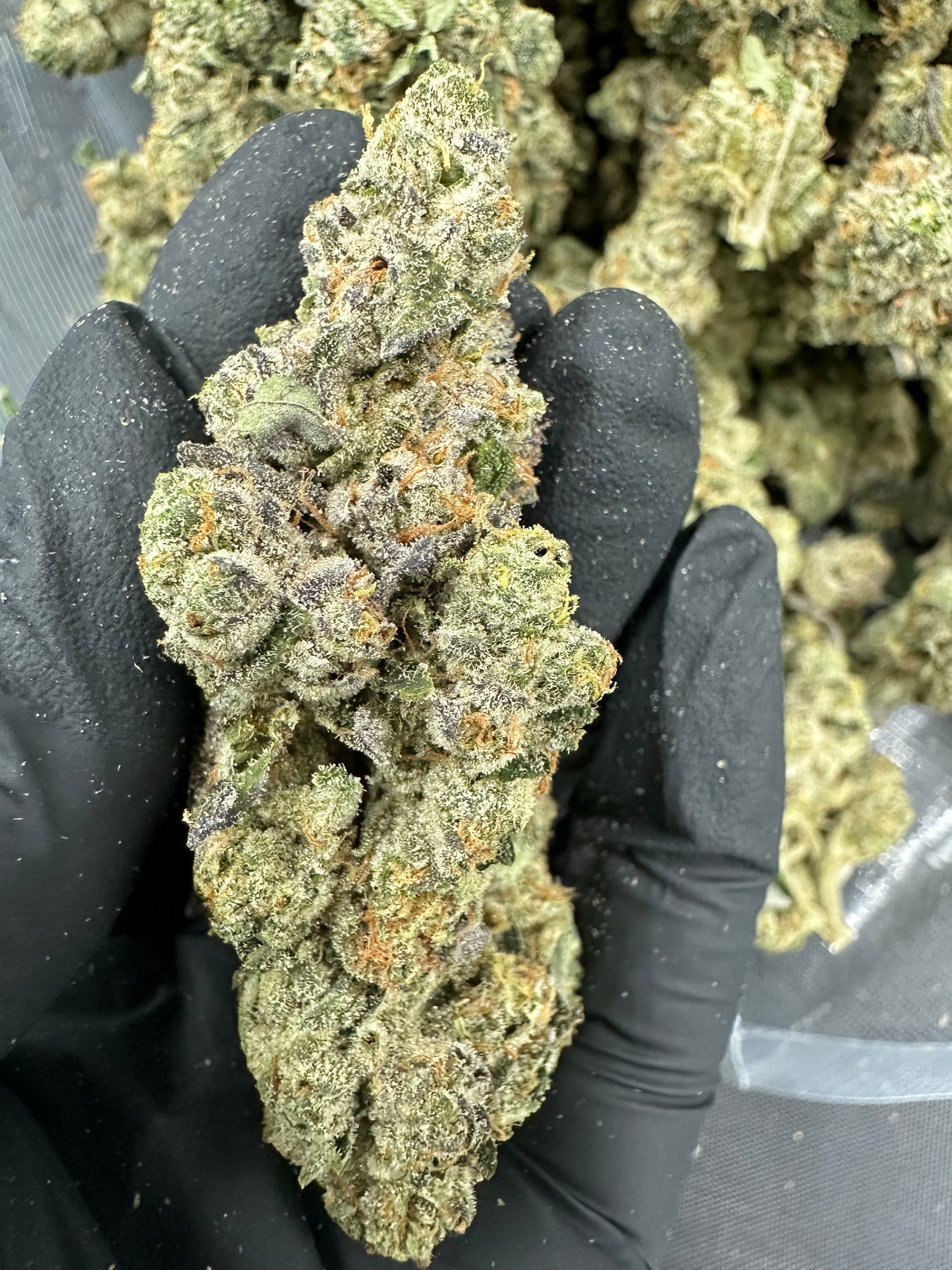 Triangle Kush Cake THCA Flower