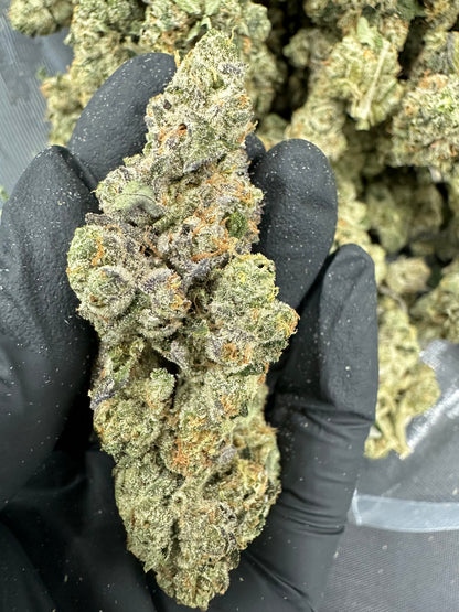 Triangle Kush Cake THCA Flower