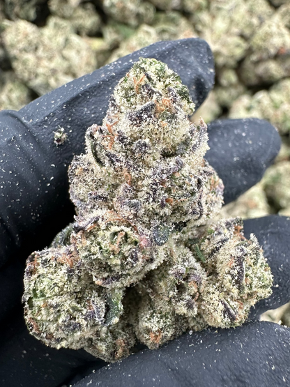 Blueberry THCA Flower (Exotic)