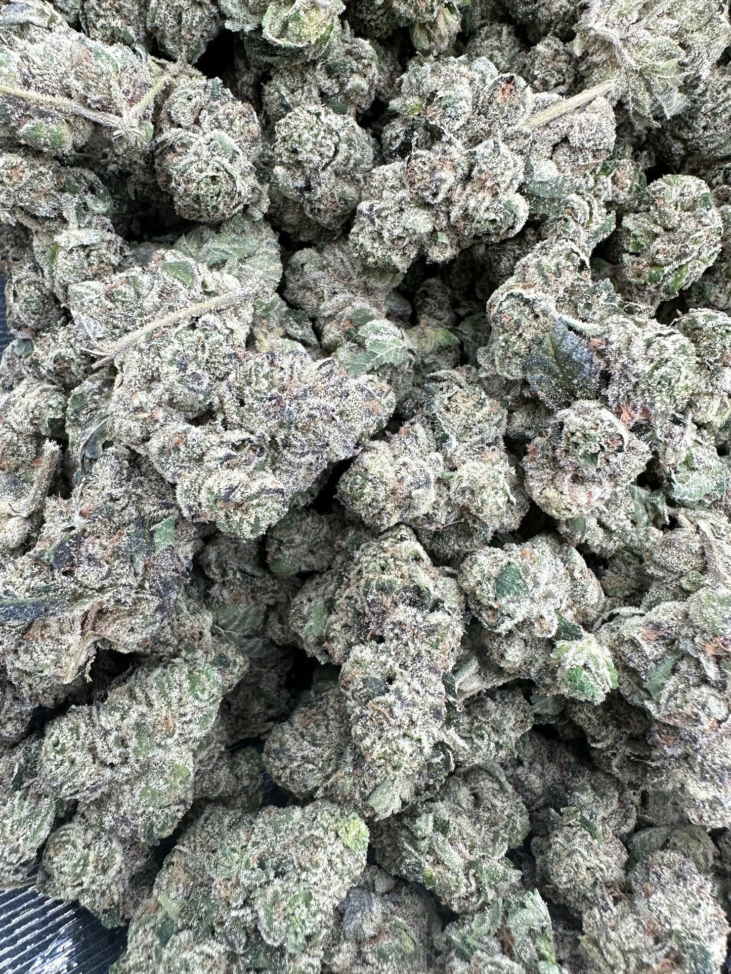 Blueberry THCA Flower (Exotic)