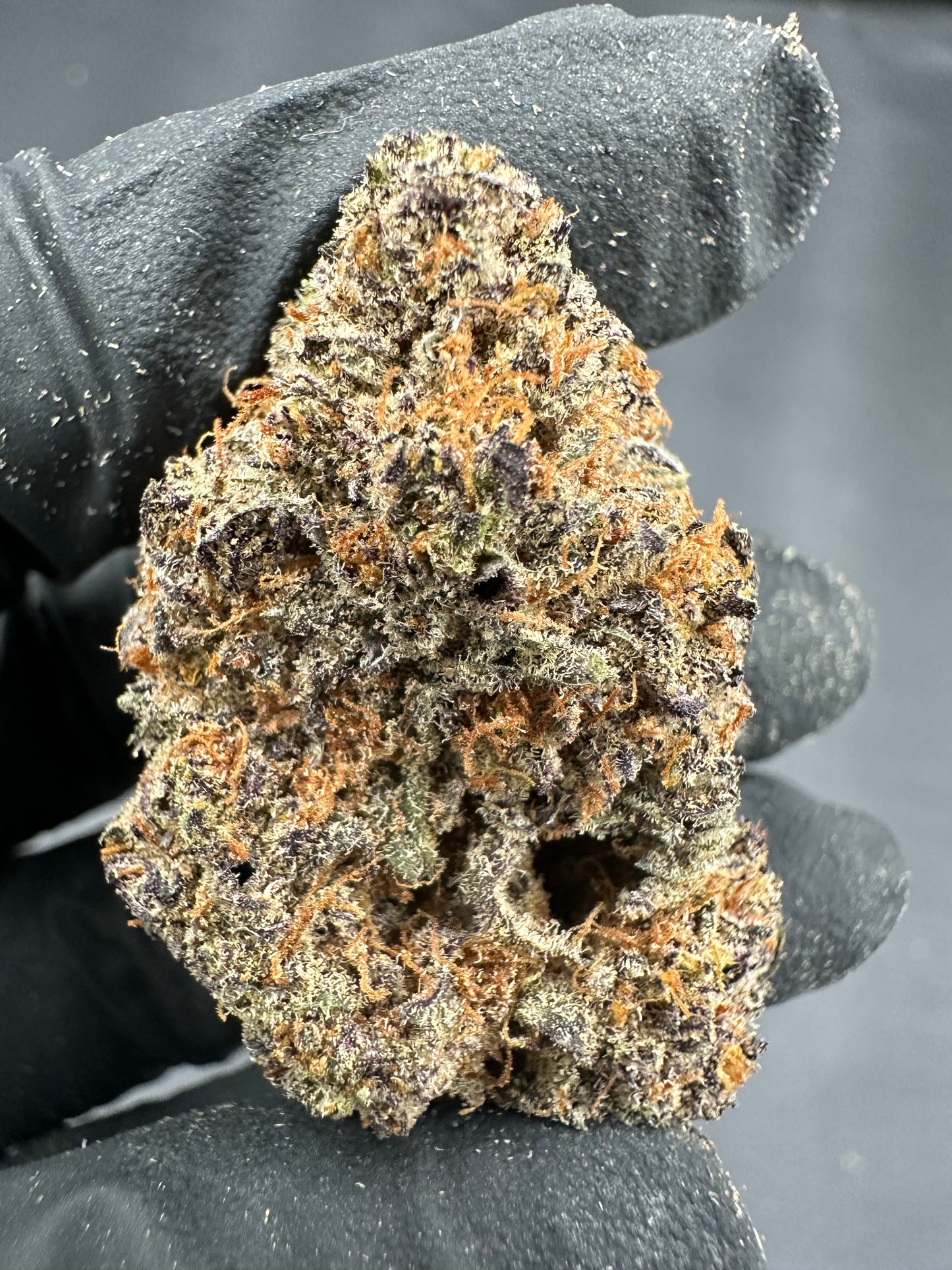 Animal Cookies THCA Flower (Premium)