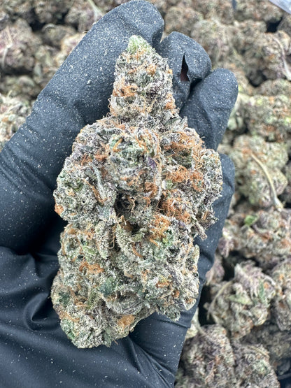 Watermelon Zkittlez THCA Flower (Exotic)