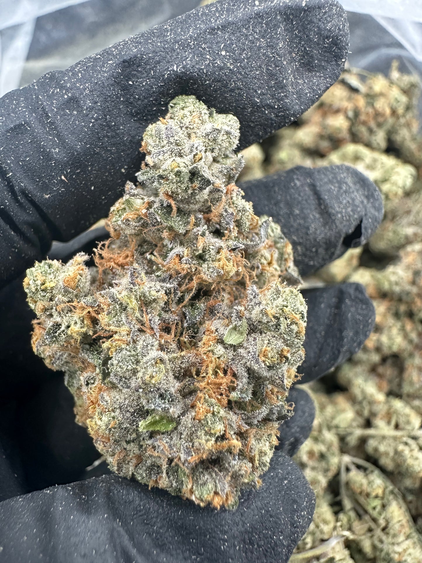 MAC THCA Flower (Premium)