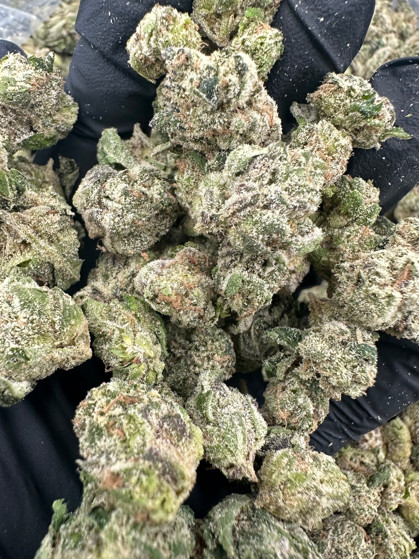 Blueberry Smalls THCA Flower (Exotic)