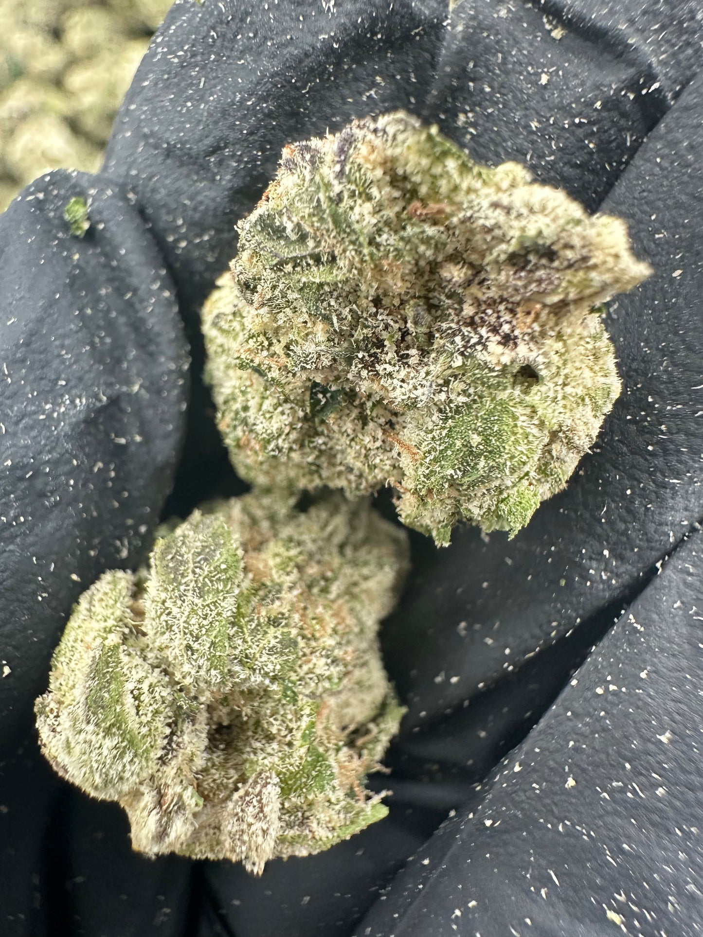 Blueberry Smalls THCA Flower (Exotic)