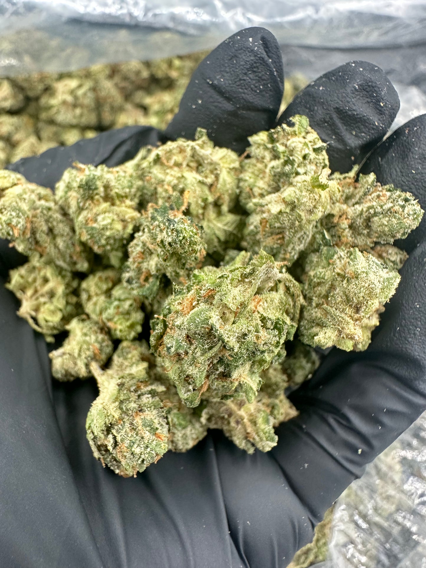 Georgia Pie THCA Flower (Budget)