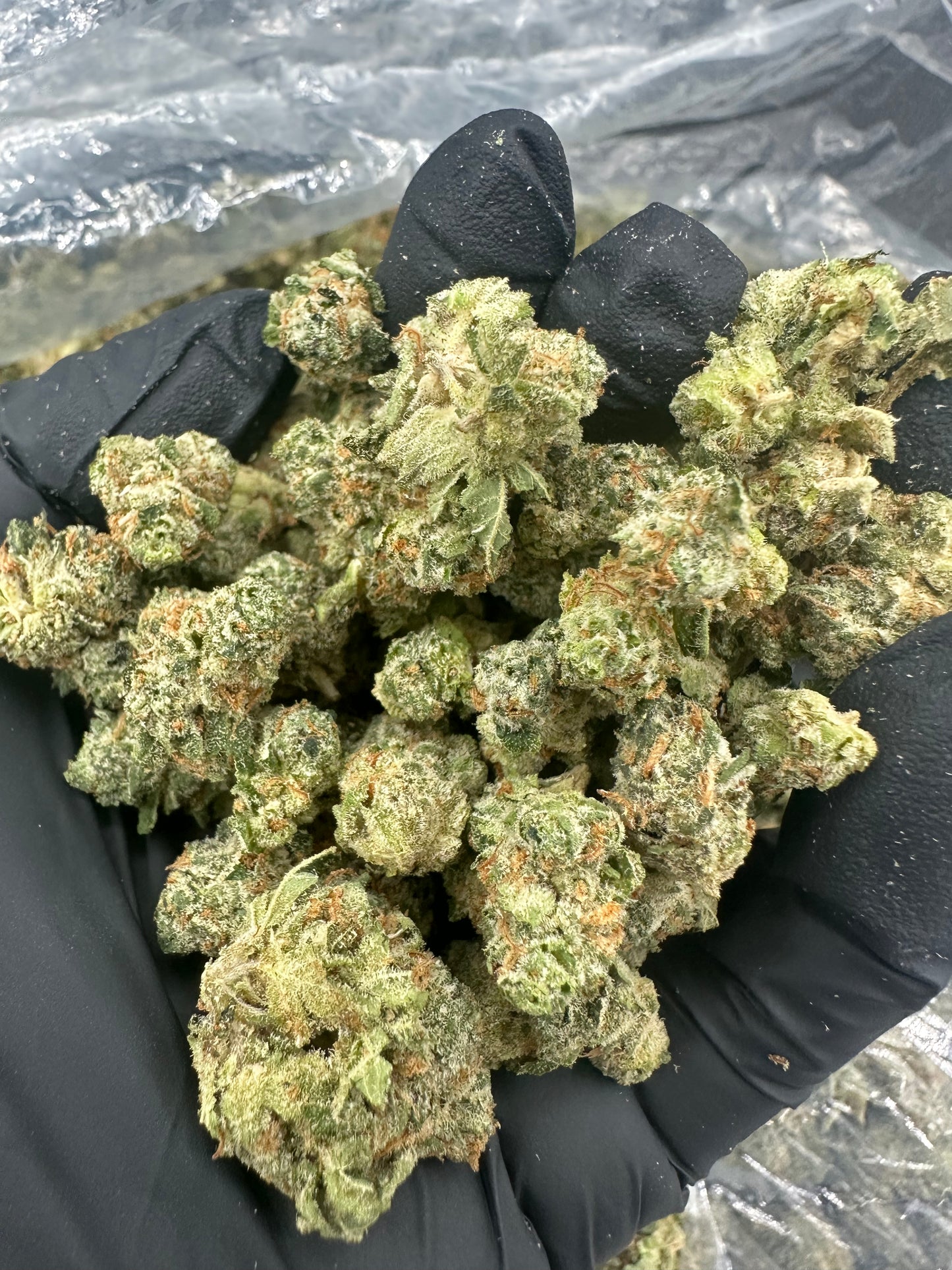 Georgia Pie THCA Flower (Budget)