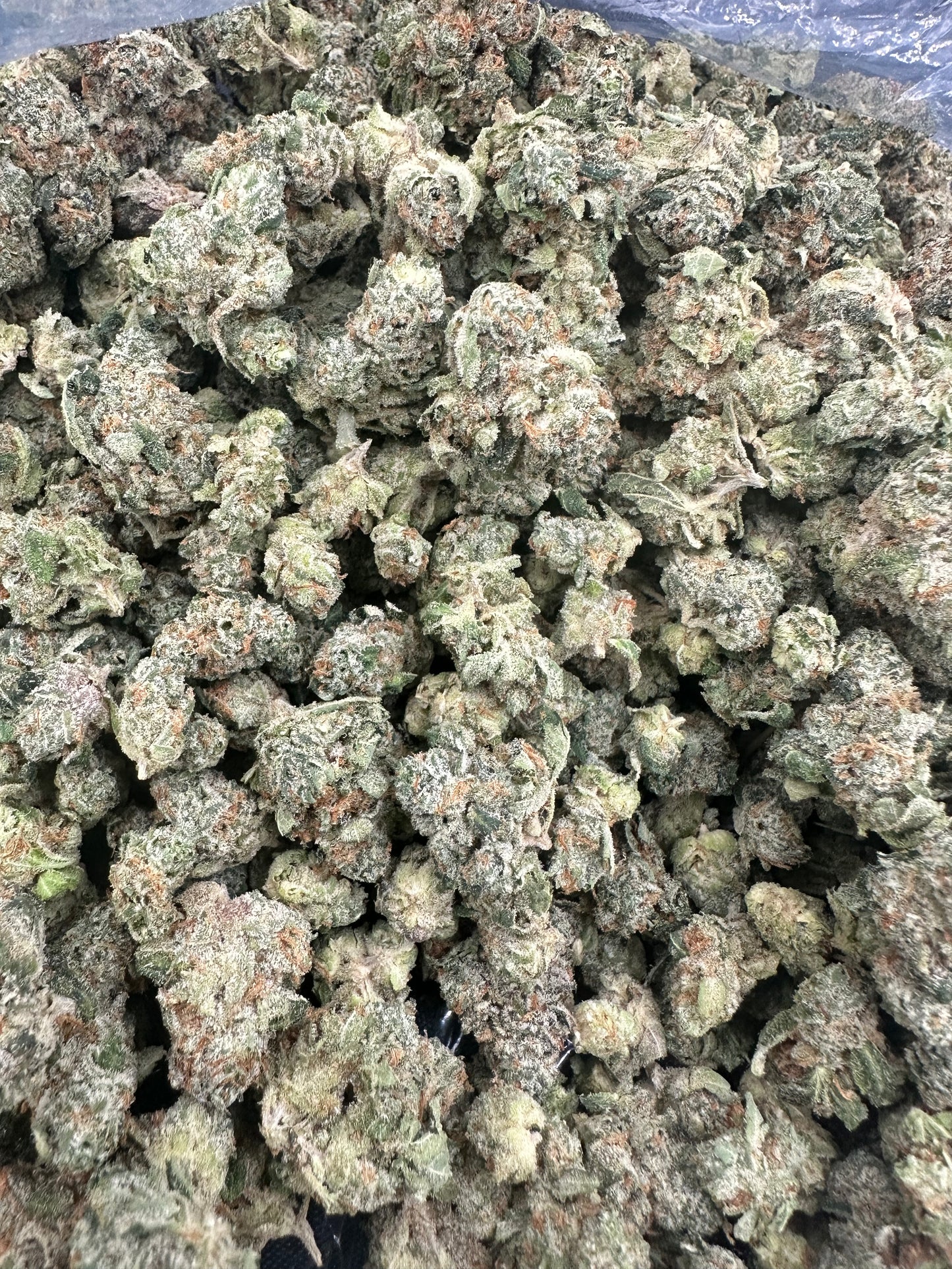 Georgia Pie THCA Flower (Budget)