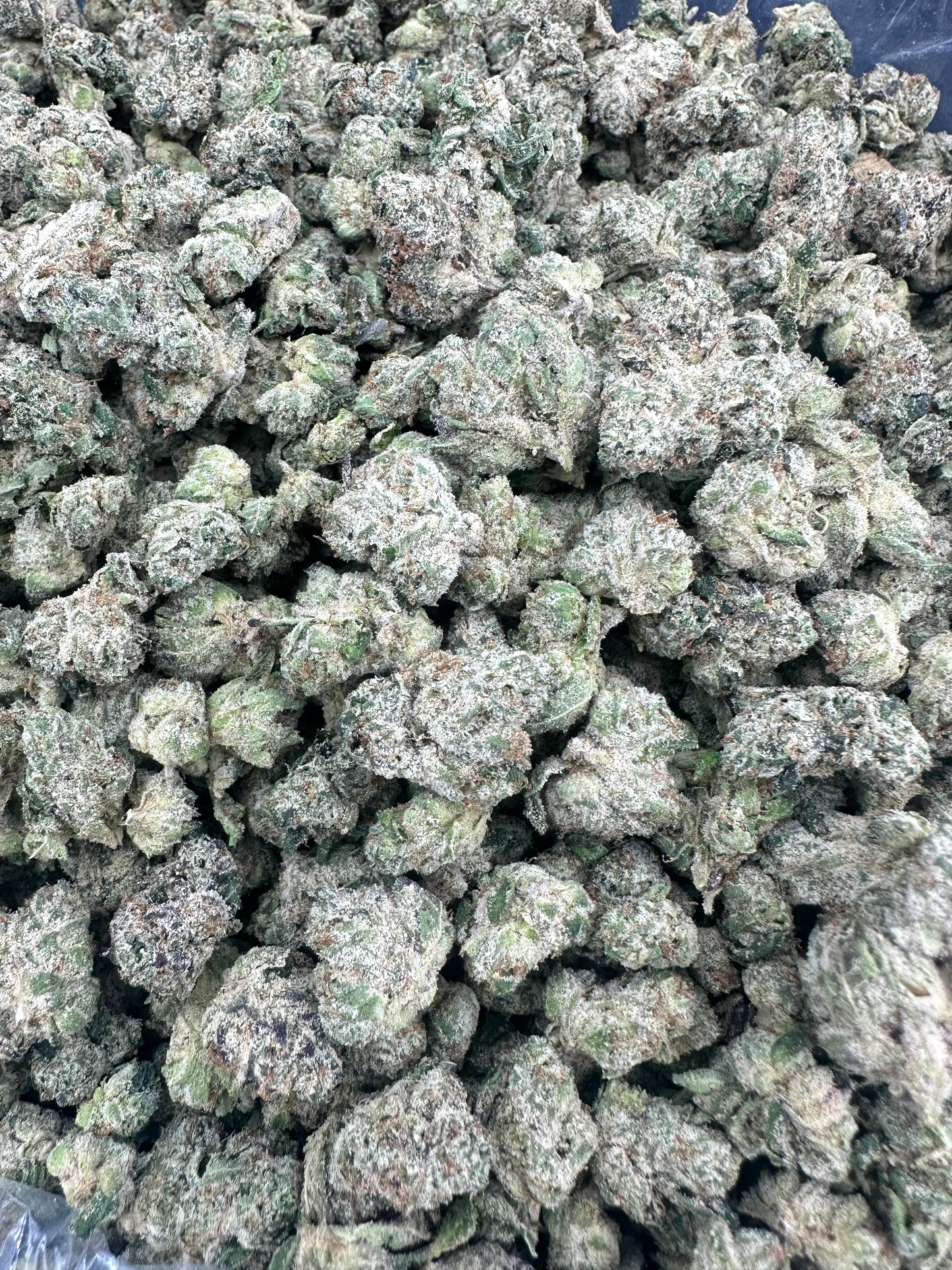 Gelato THCA Flower (Budget)