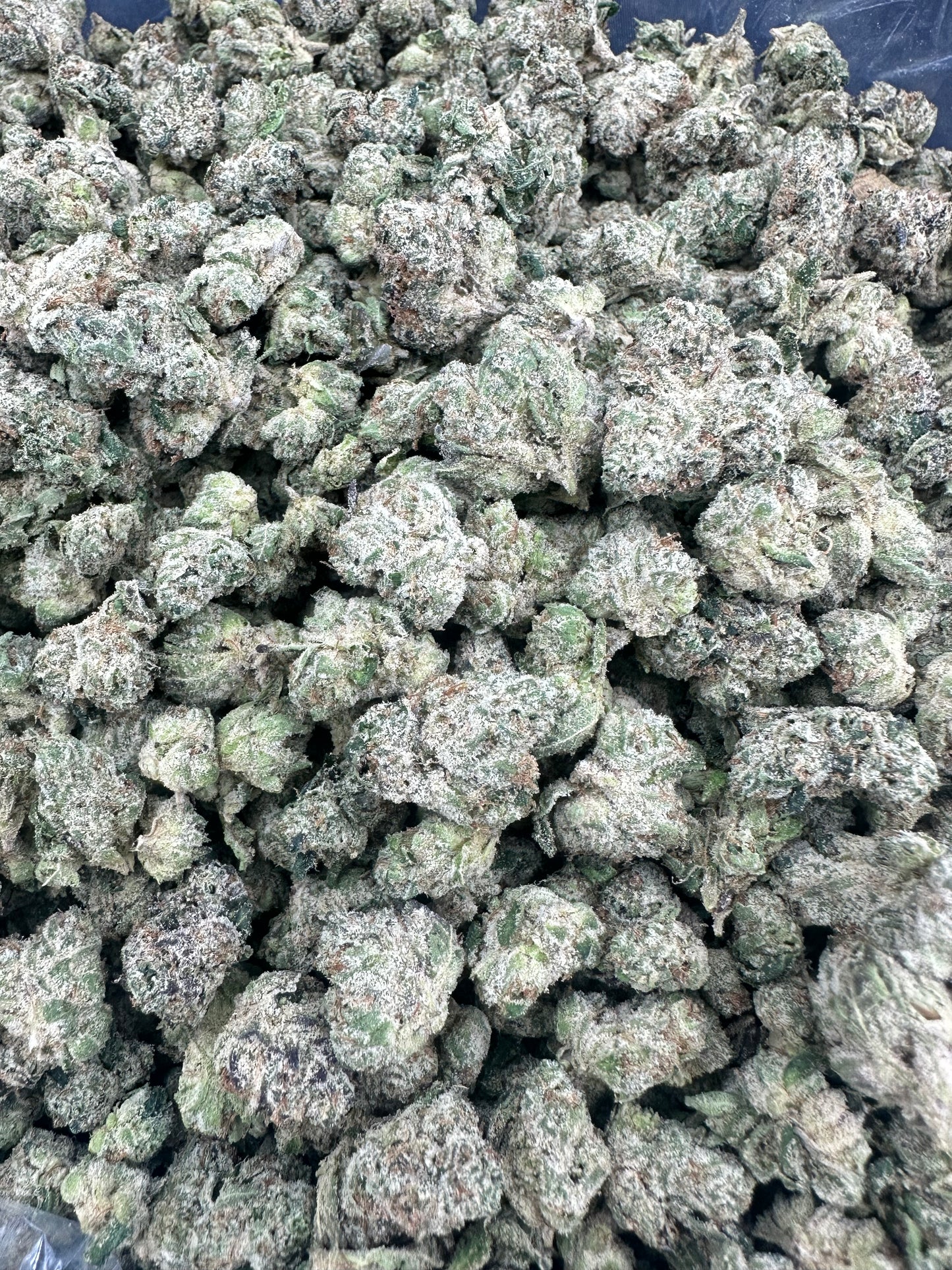 Gelato THCA Flower (Budget)