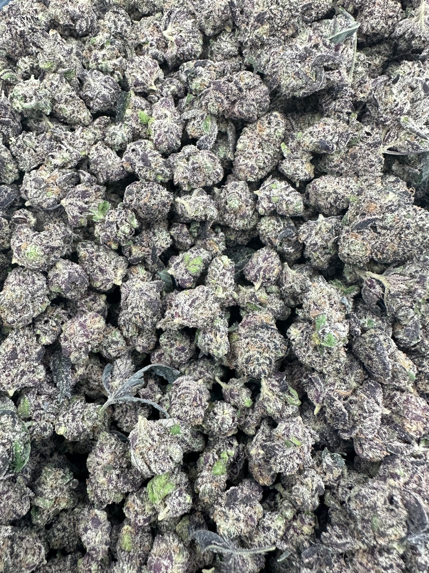 Watermelon Zkittlez Smalls THCA Flower (Exotic)