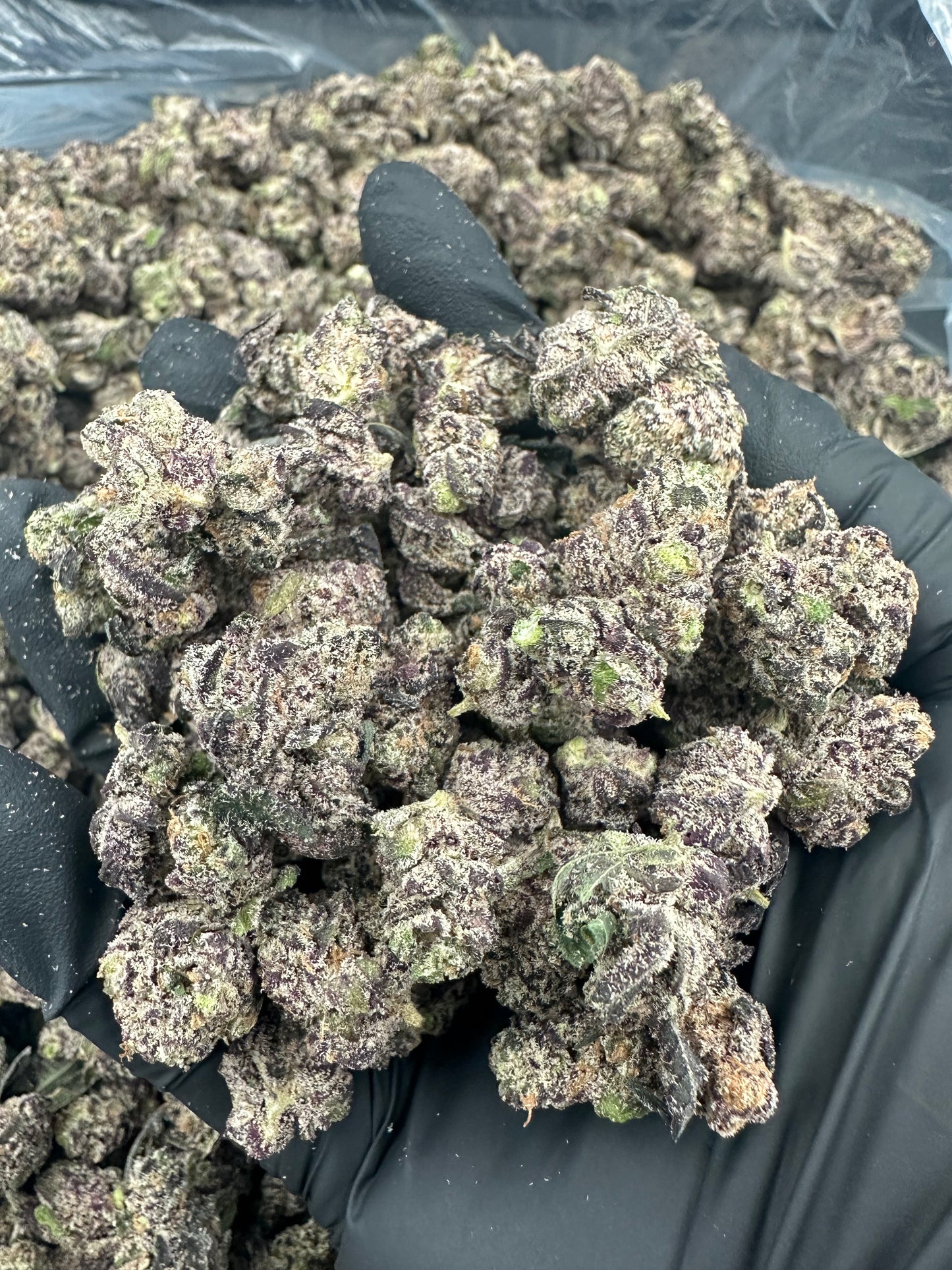 Watermelon Zkittlez Smalls THCA Flower (Exotic)
