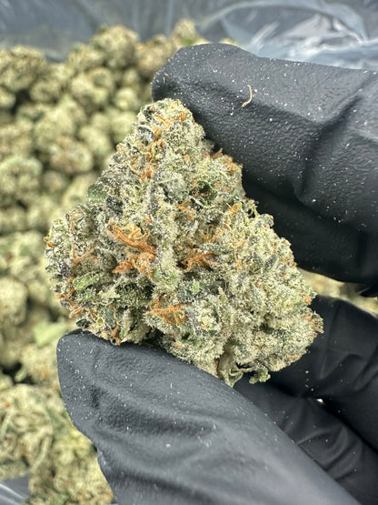 Larry OG THCA Flower (Exotic)