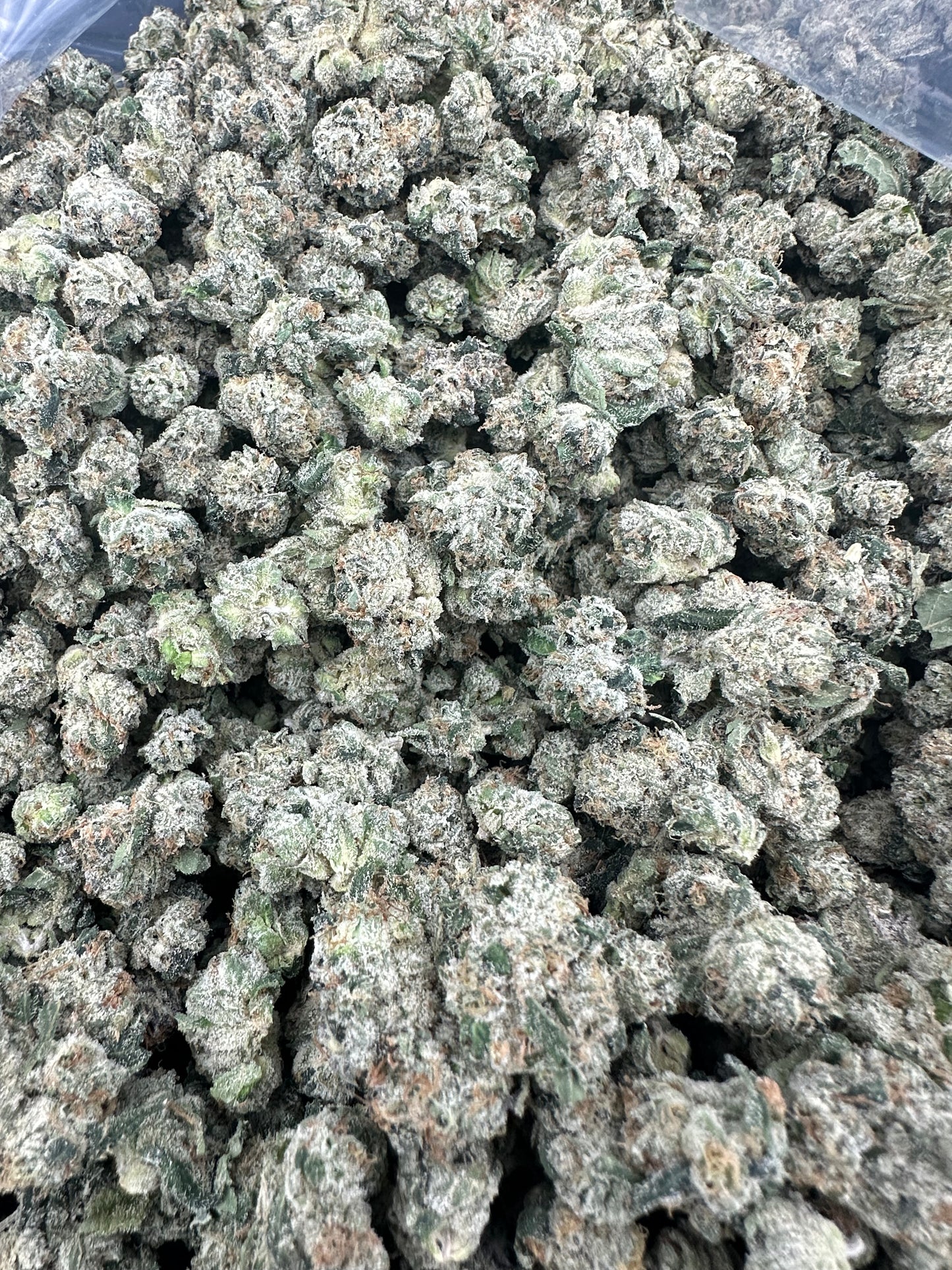 Larry OG Smalls THCA Flower (Exotic)