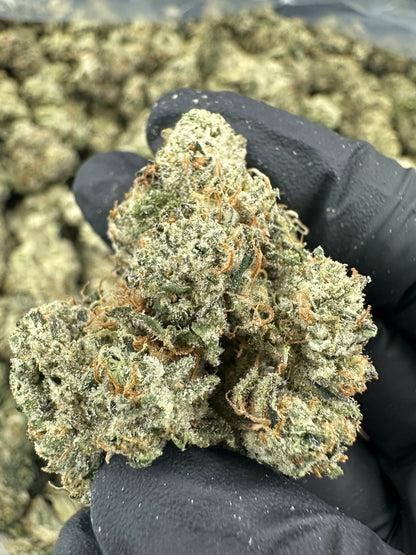 Larry OG THCA Flower (Exotic)