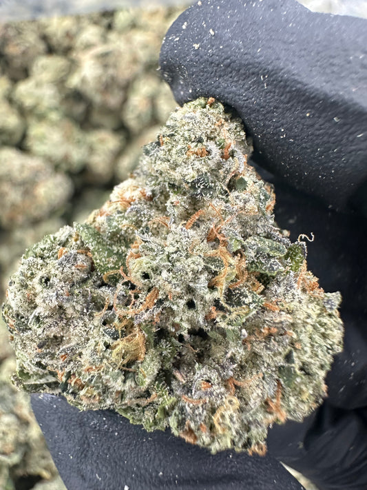 Larry OG THCA Flower (Exotic)