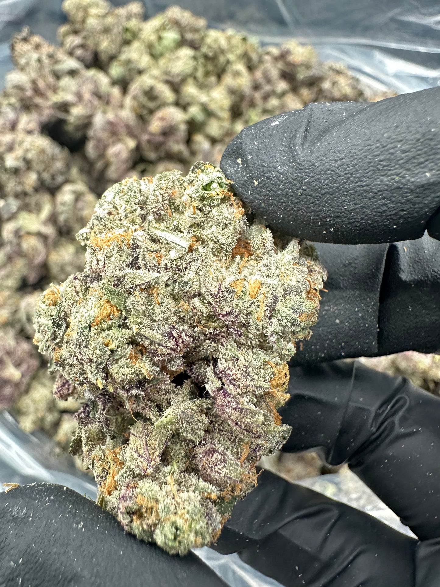 Gush Mintz THCA Flower (Premium)