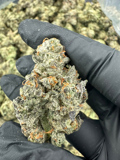 Bruce Banner THCA Flower (Premium)